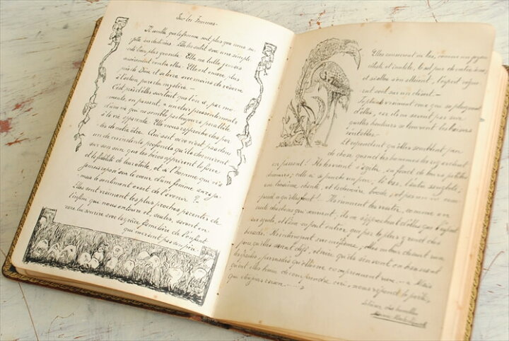 楽天市場 送料無料 1910年代 フランスの古い日記 イラスト 本革装丁 ディスプレイ 古書 アンティークブック インテリア 撮影小物 1029 Callum Shop