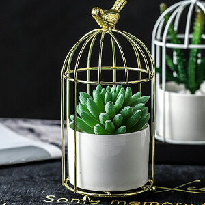   IuWF  CeA ԕr AeB[N |bg t[x[X t[x[X  ԕr  Ԋ a zCg S[h