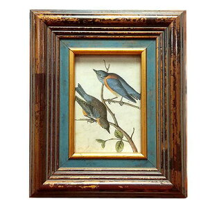 tHgt[ ؐ  ʐ^ v[g AeB[N ʐ^ tHgX^h KX j v[g 蕨 LO a NސEj