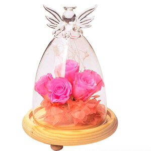 KX h[ GWF Vg IuWF u KXh[P[X  t  JCC Vv EFfBO uC_ ؐKXh[  AeB[N k fB