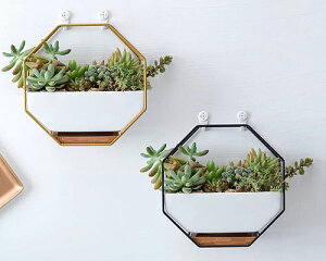 壁掛け 観葉植物 鉢の人気商品 通販 価格比較 価格 Com