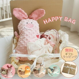 ★1/23クーポンで10%OFF★ ベビー ぬいぐるみ 新生児 福袋 ハッピーバッグ スタイ 360° おしゃぶりホルダー 出産祝い クリスマス プレゼント 誕生祝 かわいい セット