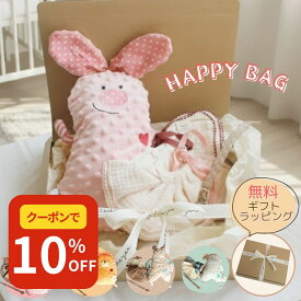 ★1/13クーポンで10%OFF★ ベビー ぬいぐるみ 新生児 福袋 ハッピーバッグ スタイ 360° おしゃぶりホルダー 出産祝い クリスマス プレゼント 誕生祝 かわいい セット