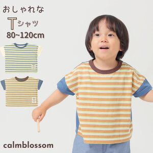 y11/1|Cg3{!5%OFFN[|zzz tVc LbY  {[_[ j̎q   ĕ  80 90 100 110 120 cm ۈ牀 ct oYj v[g Z oq R[f  oY