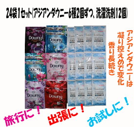 ダウニー＆洗濯洗剤個包装セット