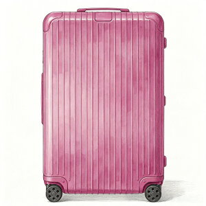 �y�������}���\����������15��OFF�N�[�|���{P2�{�zEssential Check-In M�|���J�[�{�l�[�g �X�[�c�P�[�X 60L �L�����[�P�[�X ���s �o�� ��� �y�ʃg�����N�^ �h�C�c�� ���� �L�����[�o�b�O �����Y ��