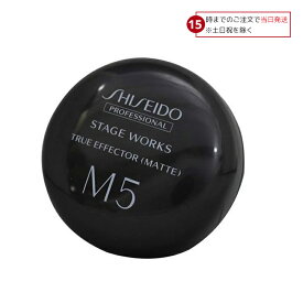 資生堂 ステージワークス トゥルーエフェクター M5 (マット) 80g