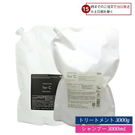 ナンバースリー プロアクション フォーシーシャンプー 3000ml+トリートメント 3000g