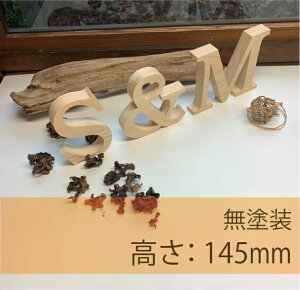 ^ At@xbgIuWF14.5cm××2.7cm qmL h 3_ȏőI