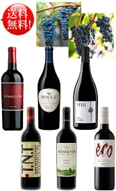 送料無料 赤ワイン6種【多彩な葡萄品種を楽しめる飲み比べミックスセット】 カベルネ・ソーヴィニヨン, ピノ・ノワール, メルロー, ジンファンデル, プティシラー, レッドブレンド 各750ml Emiliana Eco Balance Iter TNT McManis Bogle 689Submission クールは300円加算