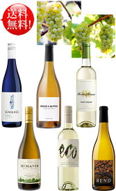 送料無料 白ワイン6種【多彩な品種を楽しめる飲み比べセット】 シャルドネ, ソーヴィニヨンブラン, ヴィオニエ, ピノグリージョ, リースリング, ブレッド&バター シャルドネ 各750ml Bend Emiliana McManis Three Thieves Bread&Butter Seaglass クールは300円加算