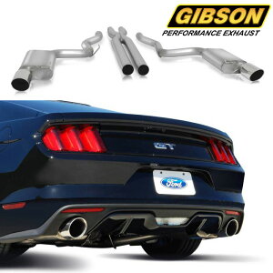 15-17y }X^O 5.0L 2hAN[yp Mu\}t[ L^obN XeX