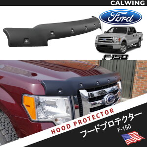 09-14y F150 t[h veN^[ oOK[h eNX`[ubN rX~߃X^C