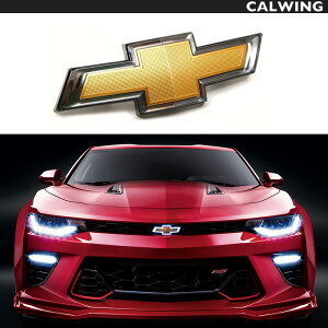 16y- J} {E^CGu tg(S[h C~t)