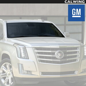 15y- LfbN GXJ[h GM tgKX [t O JX^ p[c