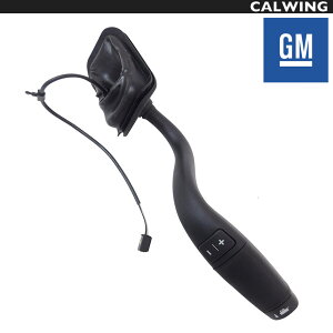 15y- GXJ[h GM RVtgo[