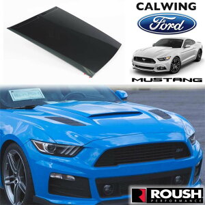 15-17y }X^O | t[hXN[v {lbg GACe[N EV