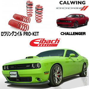 15-17y `W[ SRT | PRO-KIT [hRC tg1.1C`/A1.2C`_E ptH[}XXvO ACobn