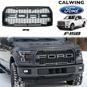 15-17y F150 | tgO v^[X^C LED}[J[v n[lXt