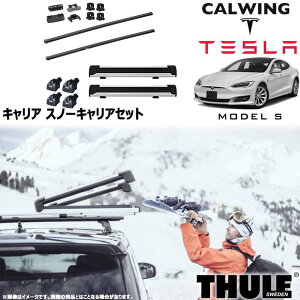 15y- eX fS tBbNX|Cgt | Xm[LAZbg tbg XNGAo[ Xm[pbNGNXe_[ THULE/X[[