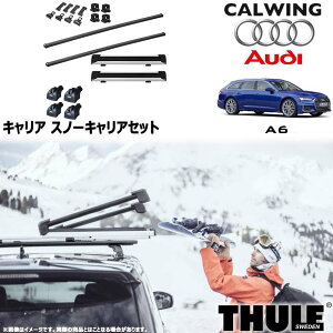 19y- AEfB A6 Aog _CNg[t[t | Xm[LAZbg tbg XNGAo[ Xm[pbNGNXe_[ THULE/X[[