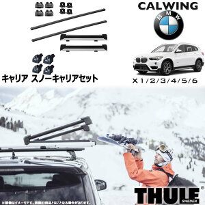 BMW X1 F48/X2 F39/X3 G01/X4/X5/X6 F16 _CNg[t[t | Xm[LAZbg tbg XNGAo[ Xm[pbNGNXe_[ THULE/X[[