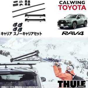 19y- RAV4 _CNg[t[t | Xm[LAZbg tbg XNGAo[ Xm[pbNGNXe_[ THULE/X[[