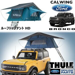 21y- uR | [tgbveg 2lp wr[f[eB u[ THULE FORD