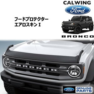 21y- uR | oOfBtN^[ X[N oOK[h GAXL ^Cv1 Lund FORD