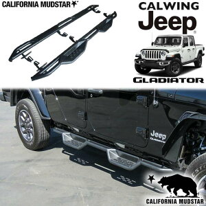 yJtHjA}bhX^[/CALIFORNIA MUDSTAR z20y- OfBG[^[ JT | bNXC_[ TChXebv i[to[ ubNpE_[R[g