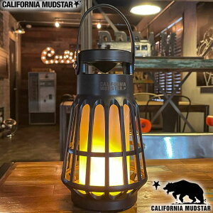 yJtHjA}bhX^[/CALIFORNIA MUDSTARzLED^ Xs[J[t USB[d^Cv ubN