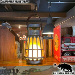 yJtHjA}bhX^[/CALIFORNIA MUDSTARzLED^ Xs[J[t USB[d^Cv O[^bN