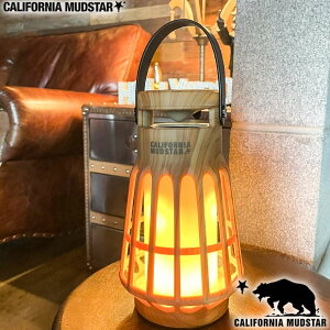 yJtHjA}bhX^[/CALIFORNIA MUDSTARzLED^ Xs[J[t USB[d^Cv i`Ebh