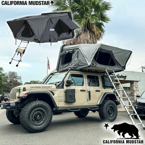 yJtHjA}bhX^[/CALIFORNIA MUDSTARz[tgbveg ABS n[hVF O[