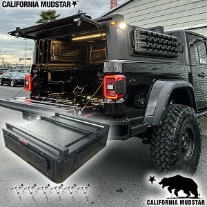 yJtHjA}bhX^[/CALIFORNIA MUDSTARz20y- OfBG[^[JT | AxbhbN{bNX LEDCgt