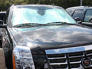 07-14y GXJ[h TVF[h 悯 Jo[LO p