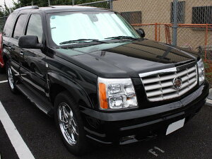 02-06y GXJ[h TVF[h 悯 Jo[LO p