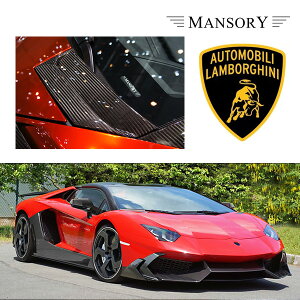 {M[j AF^h[ }\[ {lbgGAAEgeCN 4PC VisibleCarbon J[{