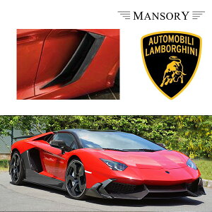 {M[j AF^h[ }\[ TChGACeCN 2PC VisibleCarbon J[{