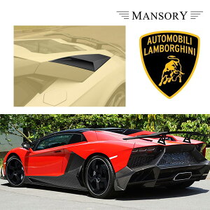 {M[j AF^h[ }\[ vCXgrbOGACeCN 2PC VisibleCarbon J[{