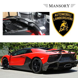 {M[j AF^h[ }\[ AECO 3PC VisibleCarbon J[{