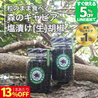【クーポン発行中!!LINE友だち】 カンボジア 生コショウ 塩漬け こしょう コショウ 胡椒 71g×2 ブラック…