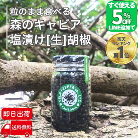 【5％オフ!!LINE友だち追加で】 カンボジア 生胡椒 塩漬け 71g 生コショウ 生こしょう こしょう コショウ ブラックペッパー 胡椒 粒 粒胡椒 つぶ胡椒 黒こしょう 最高級品 スパイス ハーブ 香辛料 黒胡椒 カンボジア産 セラペッパー sela pepper 粒