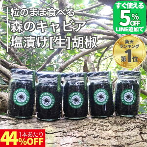 【限定5%オフ!!LINE友だち追加】 カンボジア 生コショウ 塩漬け こしょう コショウ 胡椒 71g×5 ブラックペッパー 生こしょう 生胡椒 粒胡椒 つぶ胡椒 黒こしょう 最高級品 スパイス ハーブ 香