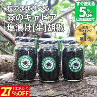 【5％オフ!!LINE友だち追加で】 カンボジア 生コショウ 塩漬け こしょう コショウ 胡椒 71g×3 ブラック…