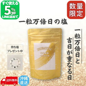 【クーポン発行中!!LINE友だち】 PREMIUM 浜比嘉塩 一粒万倍日の塩 持ち塩 清め塩 盛り塩 大安 塩 天然 天然塩 沖縄 天日塩 無添加 国産 塩 ミネラル プレゼント 自然塩 浄化 送料無料 一粒万倍日 高江洲製塩所 浜比嘉島 小袋 1000円ポッキリ