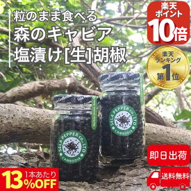 【P10倍 感謝祭17日10時迄】 カンボジア 生コショウ 塩漬け こしょう コショウ 胡椒 71g×2 ブラックペッパー 生こしょう 生胡椒 粒胡椒 つぶ胡椒 黒こしょう 最高級品 スパイス ハーブ 香辛料 黒胡椒 カンボジア産 セラペッパー sela pepper