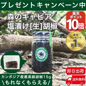 【P10倍!!8/4 20時〜8/11 9時迄】 カンボジア 生胡椒 塩漬け 71g 生コショウ 生こしょう こしょう コショウ ブラックペッパー 胡椒 粒 粒胡椒 つぶ胡椒 黒こしょう 最高級品 スパイス ハーブ 香辛料 黒胡椒 カンボジア産 セラペッパー sela pepper 粒