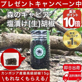【全品P10倍!!限定2/11 9時迄】 カンボジア 生胡椒 塩漬け 71g 生コショウ 生こしょう こしょう コショウ ブラックペッパー 胡椒 粒 粒胡椒 つぶ胡椒 黒こしょう 最高級品 スパイス ハーブ 香辛料 黒胡椒 カンボジア産 セラペッパー sela pepper 粒
