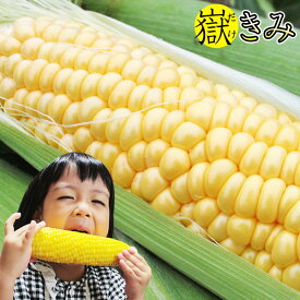 楽天市場 だけきみ 食品 の通販 楽天市場 だけきみ 食品 の通販